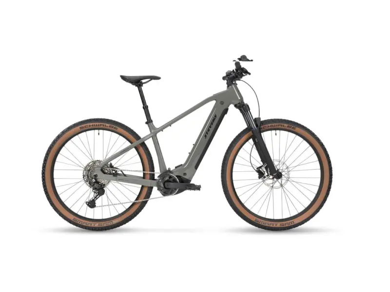Stevens E-Agnello 7.8.1